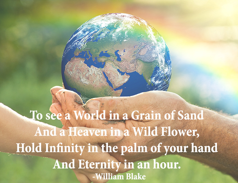 "To see the world in a grain of sand and a heaven in a wildflower, Hold infinity in the palm of your hand and eternity in an hour." - quote by William Blake