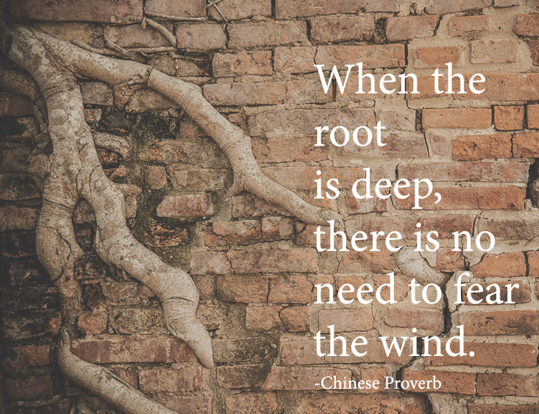 When the root is deep, there is no need to fear the wind. - Chinese Proverb