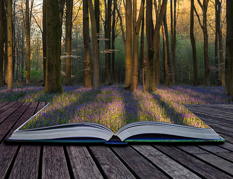 An open book leading to nature.