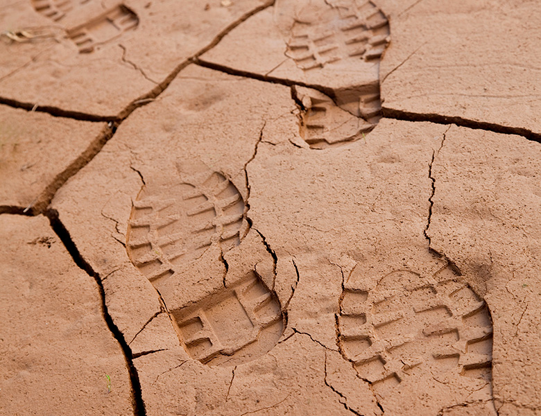 Footprints on dry ground