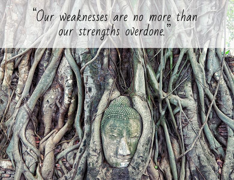 Our weaknesses are no more than our strengths overdone.